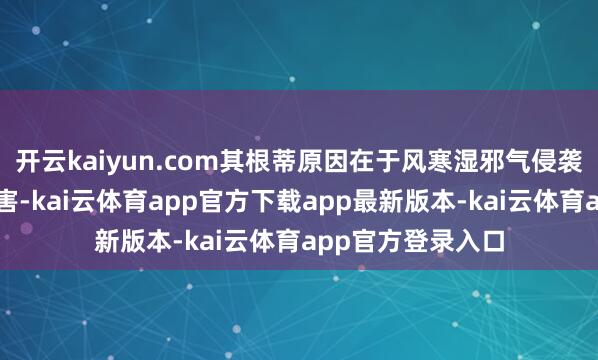 开云kaiyun.com其根蒂原因在于风寒湿邪气侵袭肌表、经络、要害-kai云体育app官方下载app最新版本-kai云体育app官方登录入口